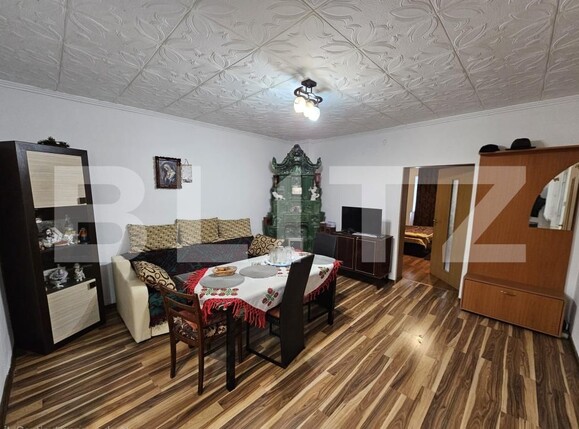 Casa de vânzare 10 camere Sebeș - 208708CV | BLITZ Alba Iulia | Poza1