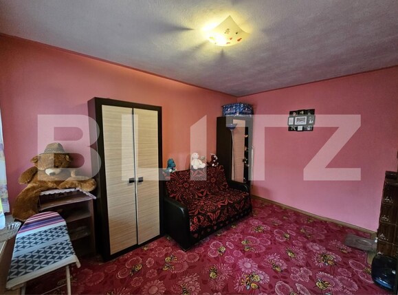 Casa de vânzare 10 camere Sebeș - 208708CV | BLITZ Alba Iulia | Poza4