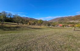 Teren intravilan, 8.046 mp, zona Sud-Est - Poiana Ampoiului