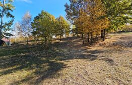 Teren intravilan, 8.046 mp, zona Sud-Est - Poiana Ampoiului