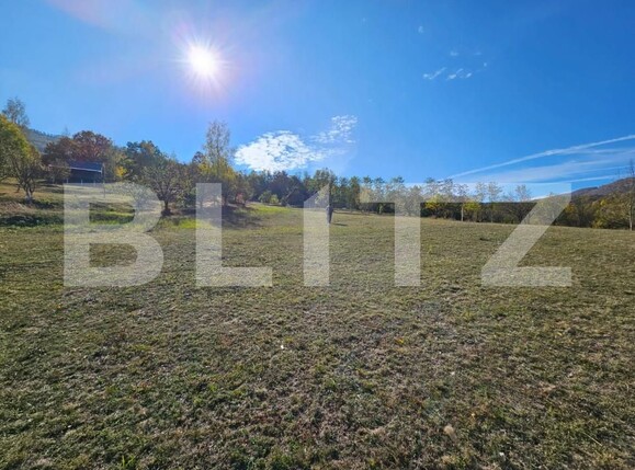 Teren de vânzare Poiana Ampoiului - 208813TV | BLITZ Alba Iulia | Poza4