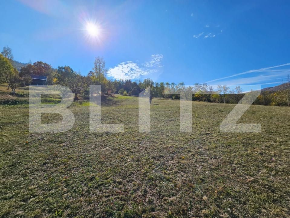 Teren de vânzare Poiana Ampoiului - 208813TV | BLITZ Alba Iulia | Poza4