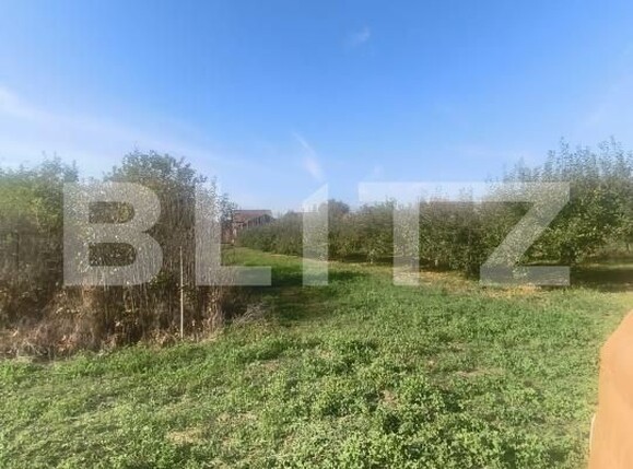 Casa de vânzare 2 camere Unirea - 209286CV | BLITZ Alba Iulia | Poza7