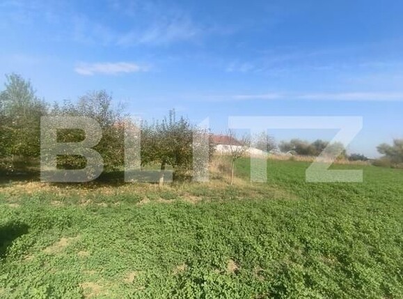 Casa de vânzare 2 camere Unirea - 209286CV | BLITZ Alba Iulia | Poza16