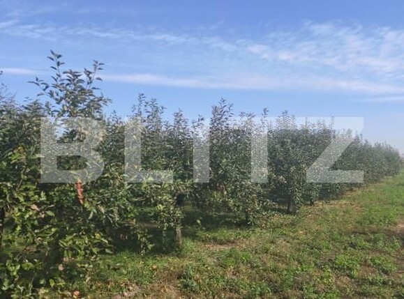 Casa de vânzare 2 camere Unirea - 209286CV | BLITZ Alba Iulia | Poza18