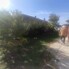 Casa de vânzare 2 camere Unirea - 209286CV - Poza 1 din 19 | BLITZ Alba Iulia | Poza16