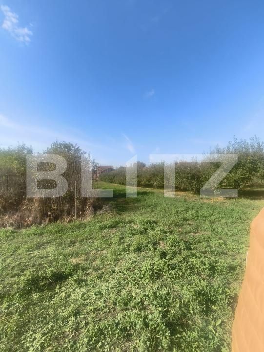 Casa de vânzare 2 camere Unirea - 209286CV | BLITZ Alba Iulia | Poza7