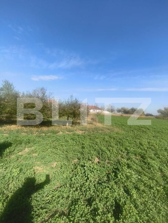 Casa de vânzare 2 camere Unirea - 209286CV | BLITZ Alba Iulia | Poza16