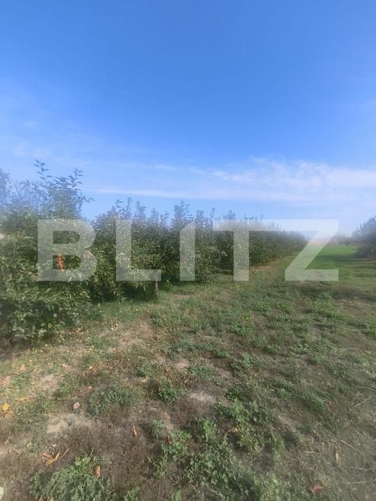 Casa de vânzare 2 camere Unirea - 209286CV | BLITZ Alba Iulia | Poza19