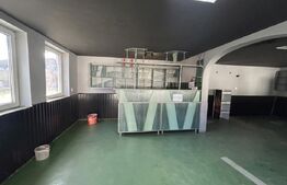Spațiu comercial, 120 mp, zona Cisteiu de Mureș