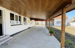 Spațiu comercial de vânzare Cisteiu de Mures, Alba Iulia