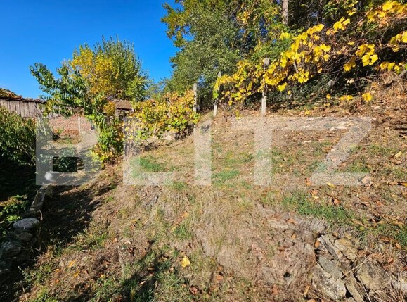 Casa de vânzare 5 camere Cugir - 209556CV | BLITZ Alba Iulia | Poza15
