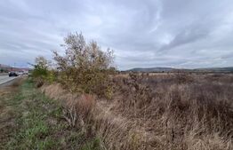 Teren intravilan, 6800 mp, zona Nord-Est