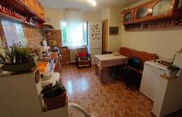 Apartament 2 camere, semidecomandat, mobilat, in Cetate