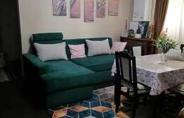 Apartament 2 camere, 50 mp, parter inalt, zona Cetate