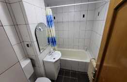 Apartament 3 camere finisat si mobilat, izolat si ocupabil imediat - Cetate, parc Sf Ecaterina