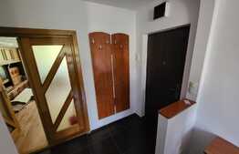 Apartament 3 camere finisat si mobilat, izolat si ocupabil imediat - Cetate, parc Sf Ecaterina