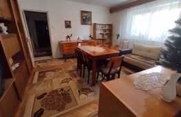 Apartament 2 camere, 53 mp, zona Gladiolelor