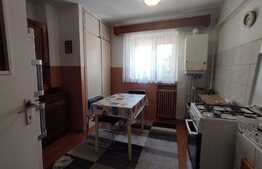 Apartament 2 camere, 53 mp, zona Gladiolelor