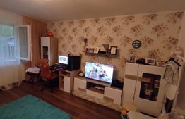 Apartament 2 camere, decomandat, 49 mp, parter, gradina, zona Portelanul