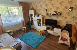 Apartament 2 camere, decomandat, 49 mp, parter, gradina, zona Portelanul