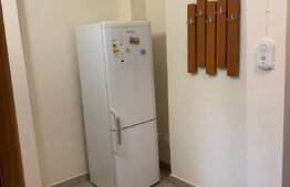 Garsoniera mobilata si utilata, 31 mp, zona Cetate 