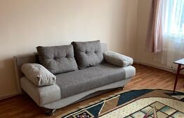 Garsoniera mobilata si utilata, 31 mp, zona Cetate 