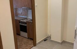 Garsoniera mobilata si utilata, 31 mp, zona Cetate 