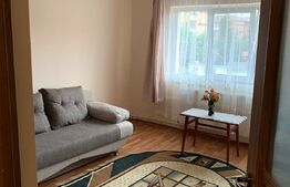 Garsoniera mobilata si utilata, 31 mp, zona Cetate 