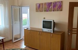 Garsoniera mobilata si utilata, 31 mp, zona Cetate 