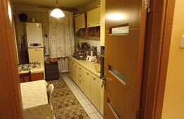 Apartament 4 camere, et.2, in M-uri, vedere spre parc.