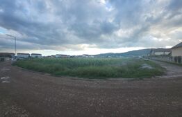 Teren intravilan, 5150 mp, Micesti 