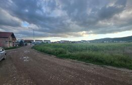 Teren intravilan, 5150 mp, Micesti 