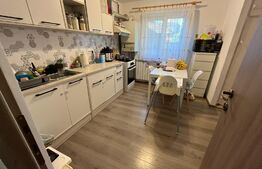 Apartament 2 camere, 54mp, mobilat/utilat, zona Cetate
