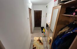Apartament 2 camere, 54mp, mobilat/utilat, zona Cetate