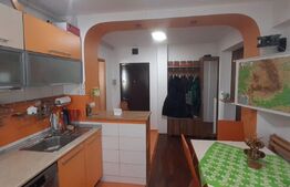 Apartament 2 camere, 56 mp, mobilat/utilat, zona Cetate
