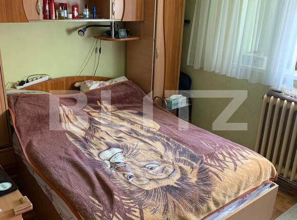 Apartament de vânzare 3 camere Ampoi 1 - 96856AV | BLITZ Alba Iulia | Poza7