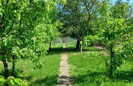 Casa de 104 mp construiti, 838 mp teren, Centru