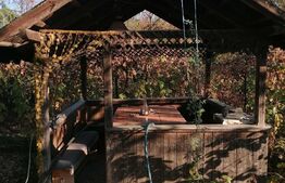 Casa de 104 mp construiti, 838 mp teren, Centru