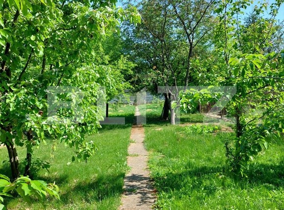 Casa de vânzare 4 camere Lipoveni - 96900CV | BLITZ Alba Iulia | Poza5