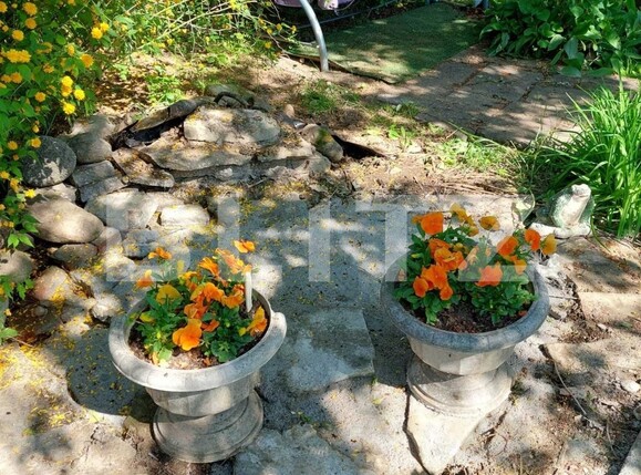 Casa de vânzare 4 camere Lipoveni - 96900CV | BLITZ Alba Iulia | Poza6