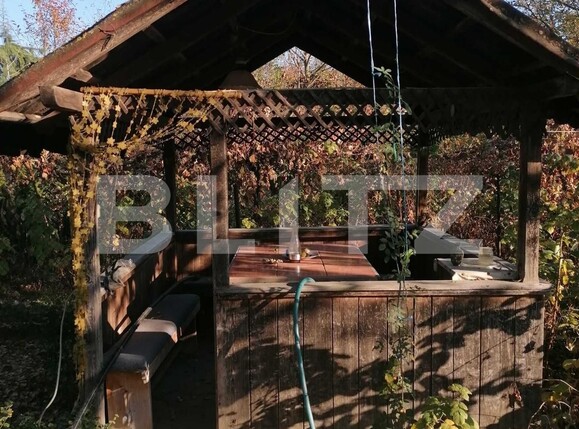 Casa de vânzare 4 camere Lipoveni - 96900CV | BLITZ Alba Iulia | Poza7