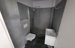 Apartament 2 camere, 46 mp, etaj intermediar, zona cetate 