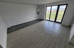 Apartament 2 camere, 46 mp, etaj intermediar, zona cetate 