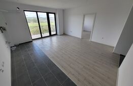 Apartament 2 camere, 46 mp, etaj intermediar, zona cetate 