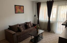 Apartament de 2 camere, 50 mp, etaj intermediar, zona Cetate