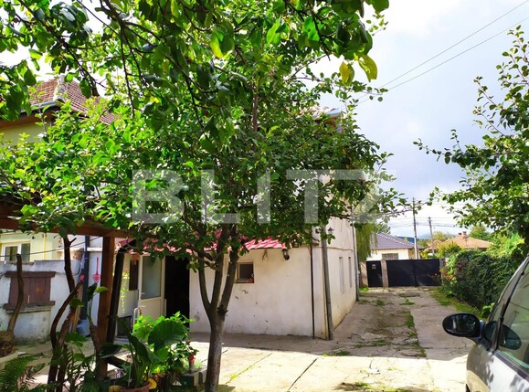 Casa de vânzare 4 camere Cetate - 97718CV | BLITZ Alba Iulia | Poza1