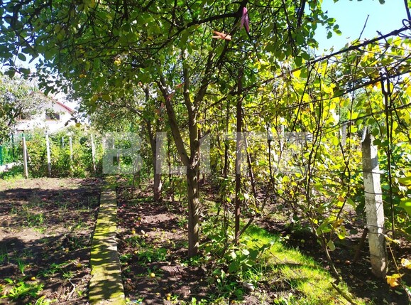 Casa de vânzare 4 camere Cetate - 97718CV | BLITZ Alba Iulia | Poza9