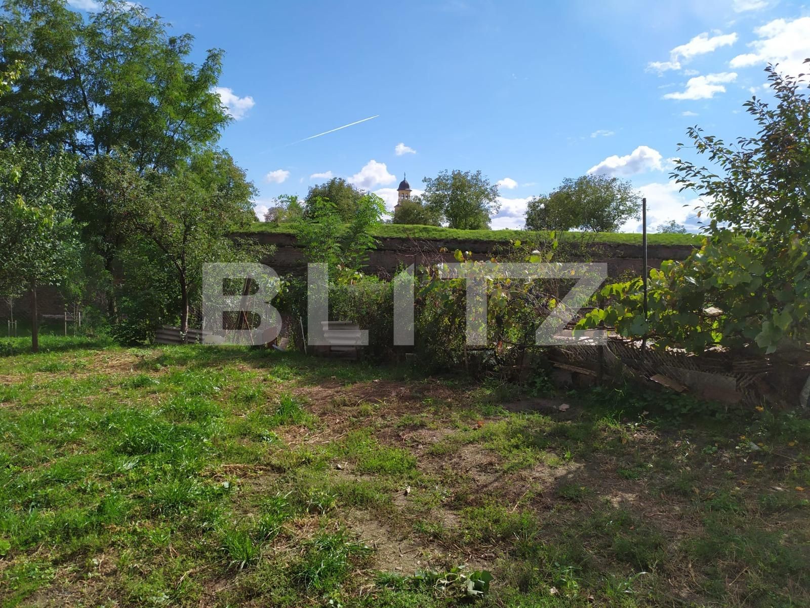 Casa de vânzare 4 camere Cetate - 97718CV | BLITZ Alba Iulia | Poza2