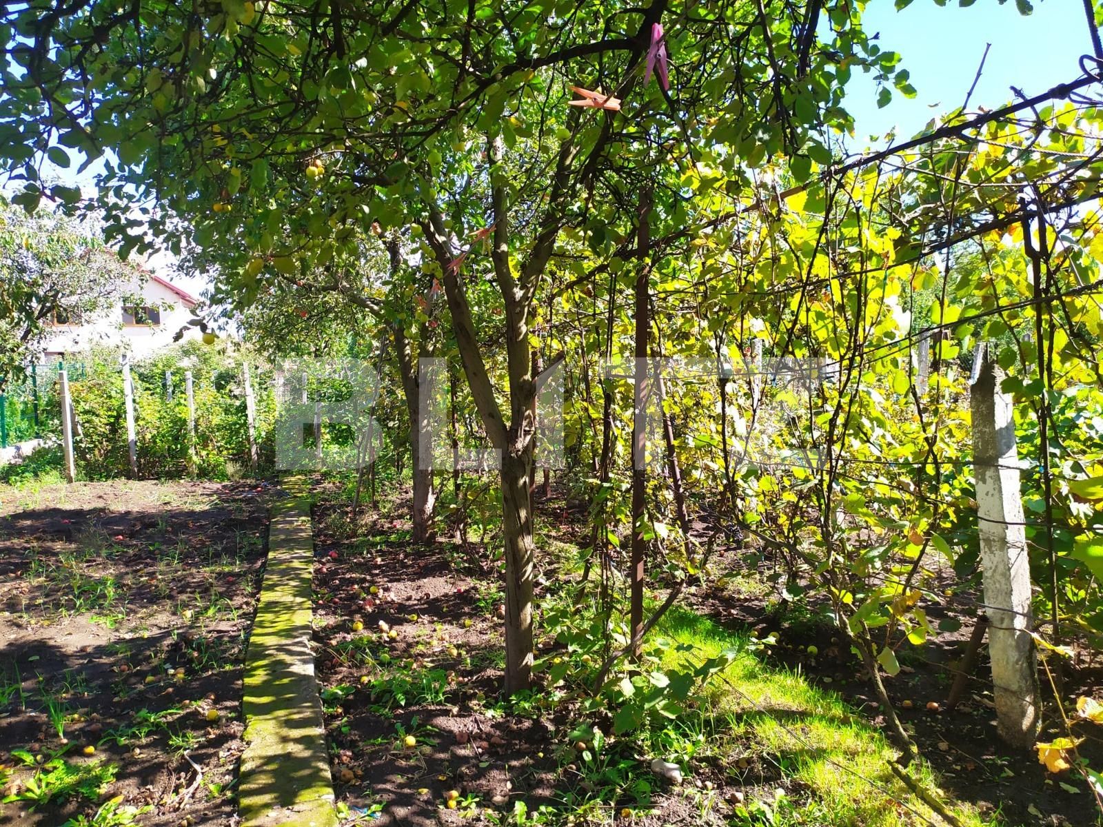 Casa de vânzare 4 camere Cetate - 97718CV | BLITZ Alba Iulia | Poza9